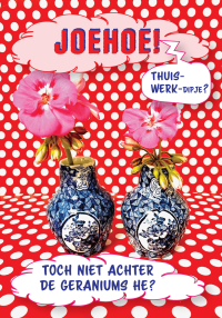 Geraniums