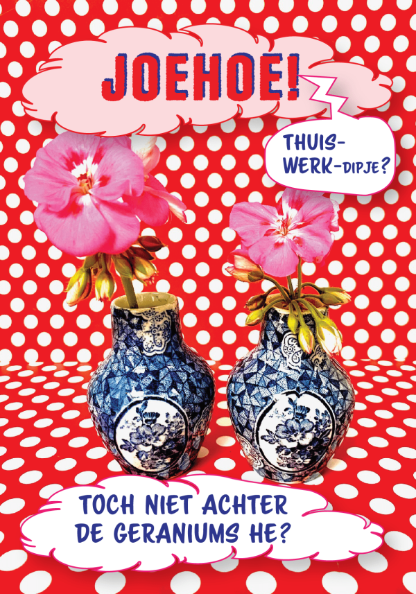 Geraniums