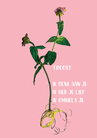 Troost